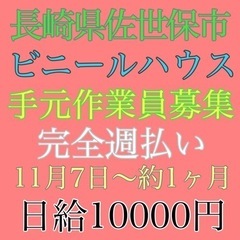 長崎県佐世保市にてビニールハウス設置手元作業員募集の画像