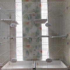 猫　ケージ　ゲージ　2段　3段　大型　多頭飼い　値下げ