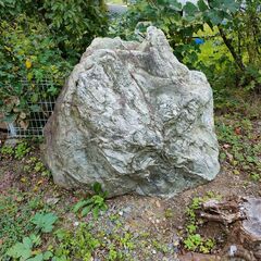 大きな庭石です。