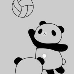 和泉Volleyball