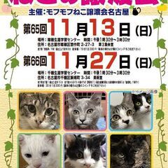 11/27(日)　猫の譲渡会　in　名古屋市千種生涯学習センター