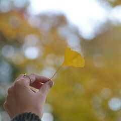 11月6日　紅葉撮影会