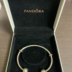 【3/17まで限定値下げ】PANDORA Moments Ope...