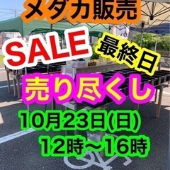 めだか販売10月23日(日)