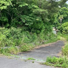 【小名浜下神白字塚田　土地】