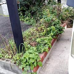 (愛知県知多)畑土+廃プラ+ガラス