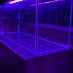合計3万7千円相当　コトブキ水槽・GEXライト・GEX水槽台
