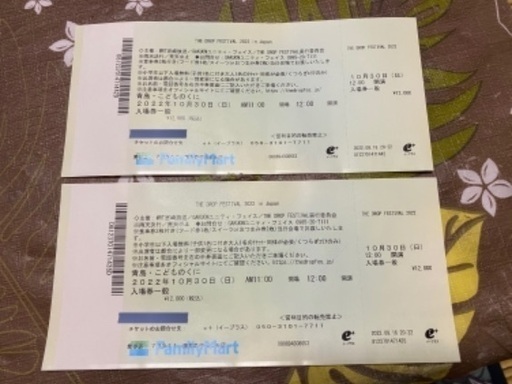 The Drop FESTIVAL in JAPAN チケット2枚で10000円