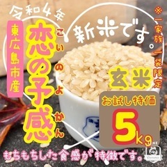 🉐特別価格💮新米 『❤️恋の予感』🌾玄米5kg 🍁東広島市産　#16