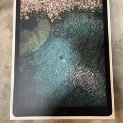 【ネット決済・配送可】APPLE iPad Pro IPAD P...