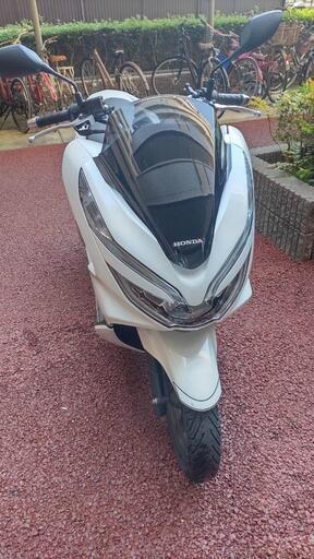 Honda PCX125 JF81 ホワイト