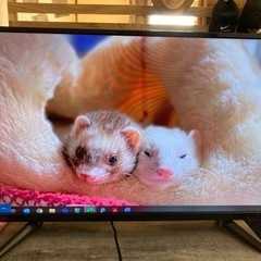 テレビ40インチ　譲渡先決まりました