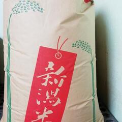 ２０２１年の新潟県産コシヒカリ　玄米３０kg　 #２　