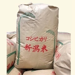 新潟県産コシヒカリ30k玄米　令和3年古米