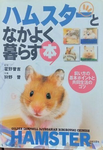 パピプペットハムスターハウスセット(値下げ) | ptpnix.co.id