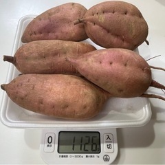 無農薬栽培　安納芋(サツマイモ)  １kg