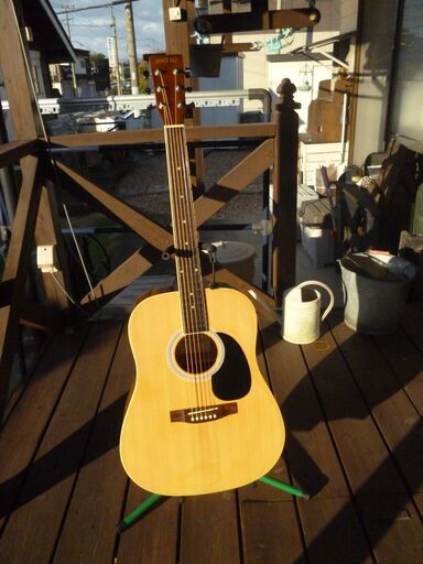 ハニービーW-15/Nアコースティックギター HONEY BEE W-15の紹介 なつ