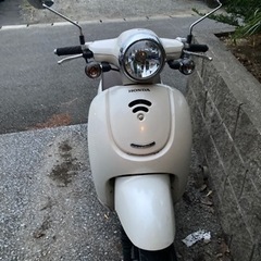 HONDA Giornoナンバープレートなし