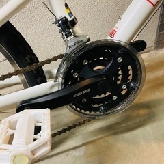 ルイガノ 22インチ ホワイト