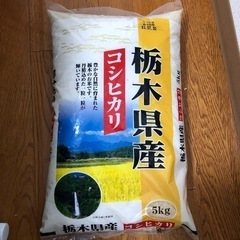 コシヒカリ　5kg  精米　米