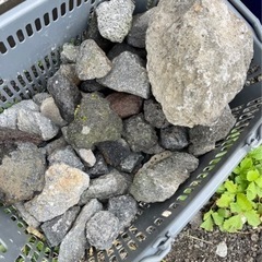 溶岩石の中古が安い！激安で譲ります・無料であげます(7ページ目  