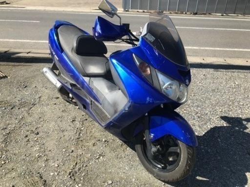 スズキ スカイウェーブ250 タイプS ブルー ¥25,000 | nort.swiss