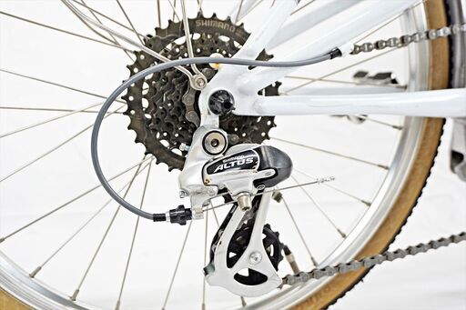 RALEIGH 「ラレー」 RSM 2020年モデル ミニベロ 5022092300001
