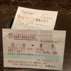 仙台発東京行き新幹線(横浜まで)