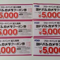 ヨドバシカメラクーポン30,000円