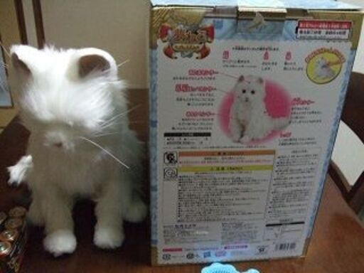 猫が好きだけど猫を飼えない方、如何ですか。