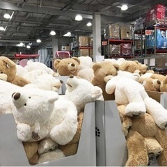 コストコ クマの中古が安い 激安で譲ります 無料であげます ジモティー