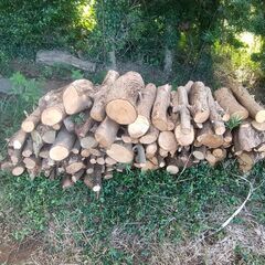 雑木の薪