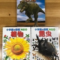 【決まりました】図鑑　恐竜　昆虫　植物
