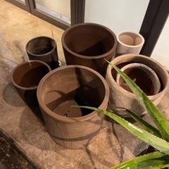観葉植物用　植木鉢