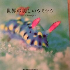 ウミウシ写真集　世界の美しいウミウシ〜Sea slugs〜