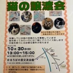 保護猫譲渡会♪