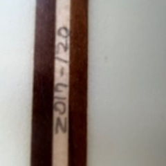 MITU サーフボード