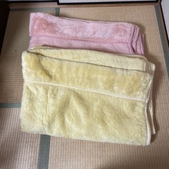 毛布（シングルサイズ）　2枚