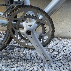 ビアンキ 中古クロスバイクROMA2 身長175-185cm程度