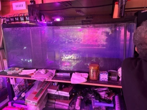 水槽
