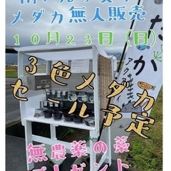 10月23日（日）メダカ無人販売のお知らせ【南アルプス市　めだか...