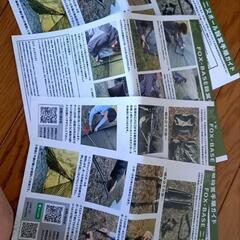 テントFutureフォックス