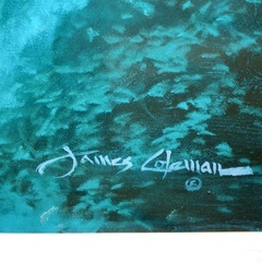 ディズニー公認作家　ジェームズ・コールマン　James Coleman リズム・イン・ブルー　rhythm in blue