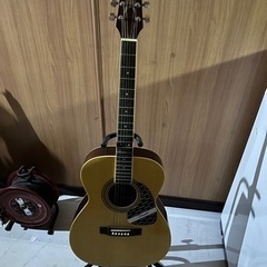 TAKAMINE/タカミネ アコースティックギター T-F1/N...