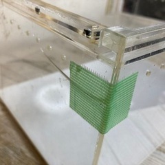 レプタイル　ボックス　　 7つ