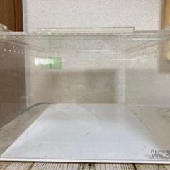 レプタイル　ボックス　　 7つ