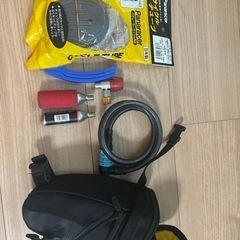 ロードバイク  トレック　ドマーネAL2 ディスク　2021