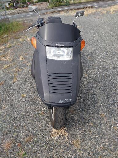 バイクショップ.e]値段高騰中!!ホンダ、ライブディオZXⅡ 中期型