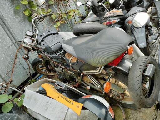 XSS250 ミッドナイトスペシャル　ジャンク
