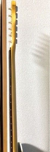 フジゲン　NCTL20R/ ASH FUJIGEN NCTL-20R/ASH - 2TS | Blue Guitars Online Store